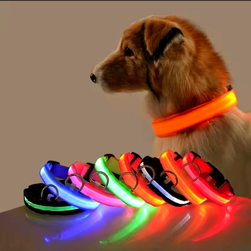 Collar LED para perro