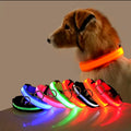 Collar LED para perro